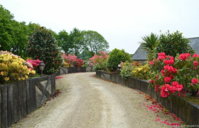 Gîte à Plougonven (29640)